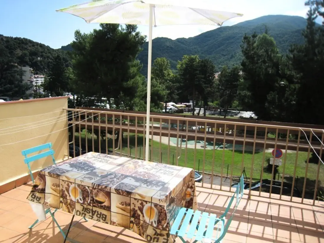 Location de Vacances Amélie-les-Bains-Palalda 127