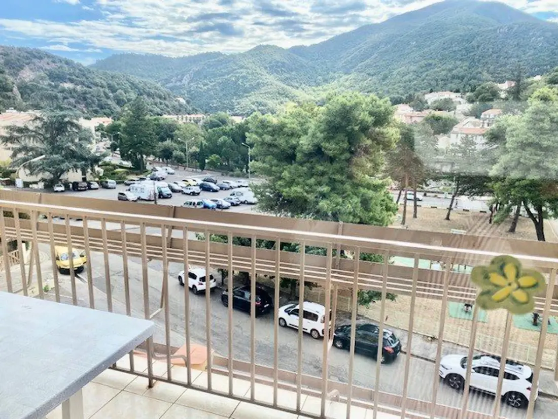 Location de Vacances Amélie-les-Bains-Palalda 129