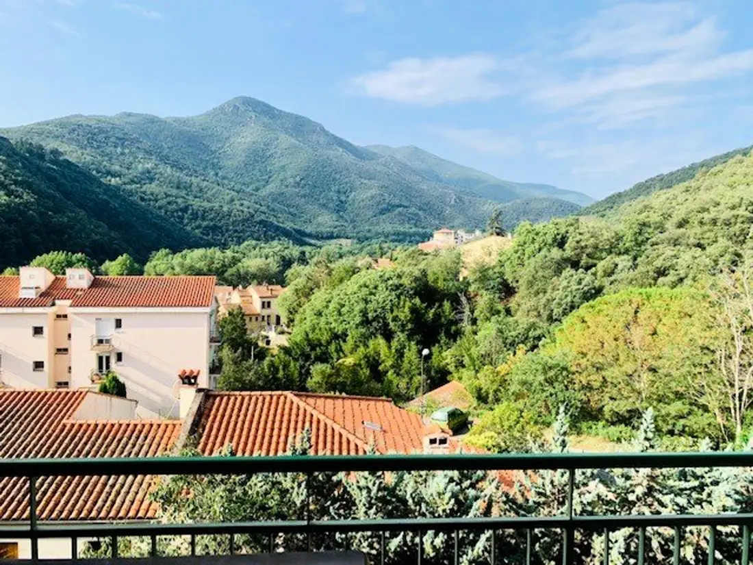 Location de Vacances Amélie-les-Bains-Palalda 136
