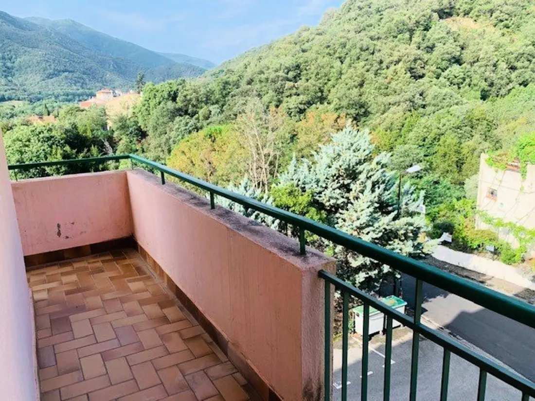 Location de Vacances Amélie-les-Bains-Palalda 136