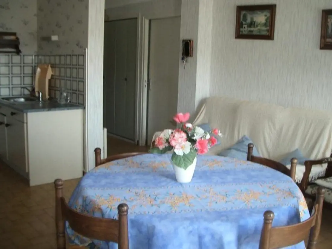 Location de Vacances Amélie-les-Bains-Palalda 143