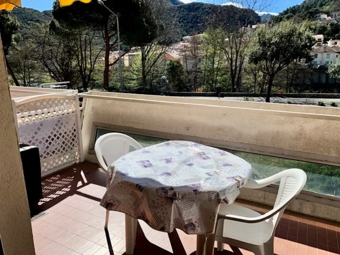 Location de Vacances Amélie-les-Bains-Palalda 155