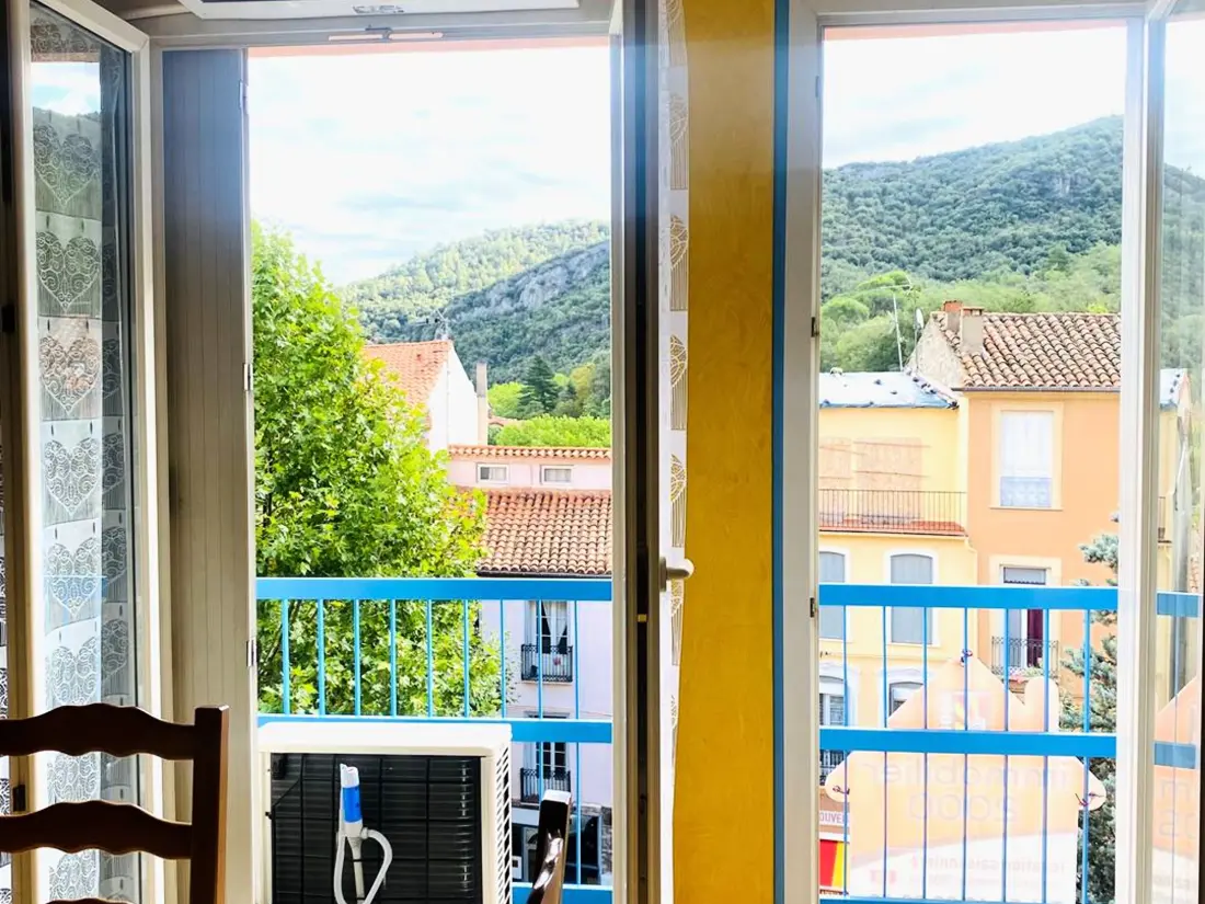 Location de Vacances Amélie-les-Bains-Palalda 158