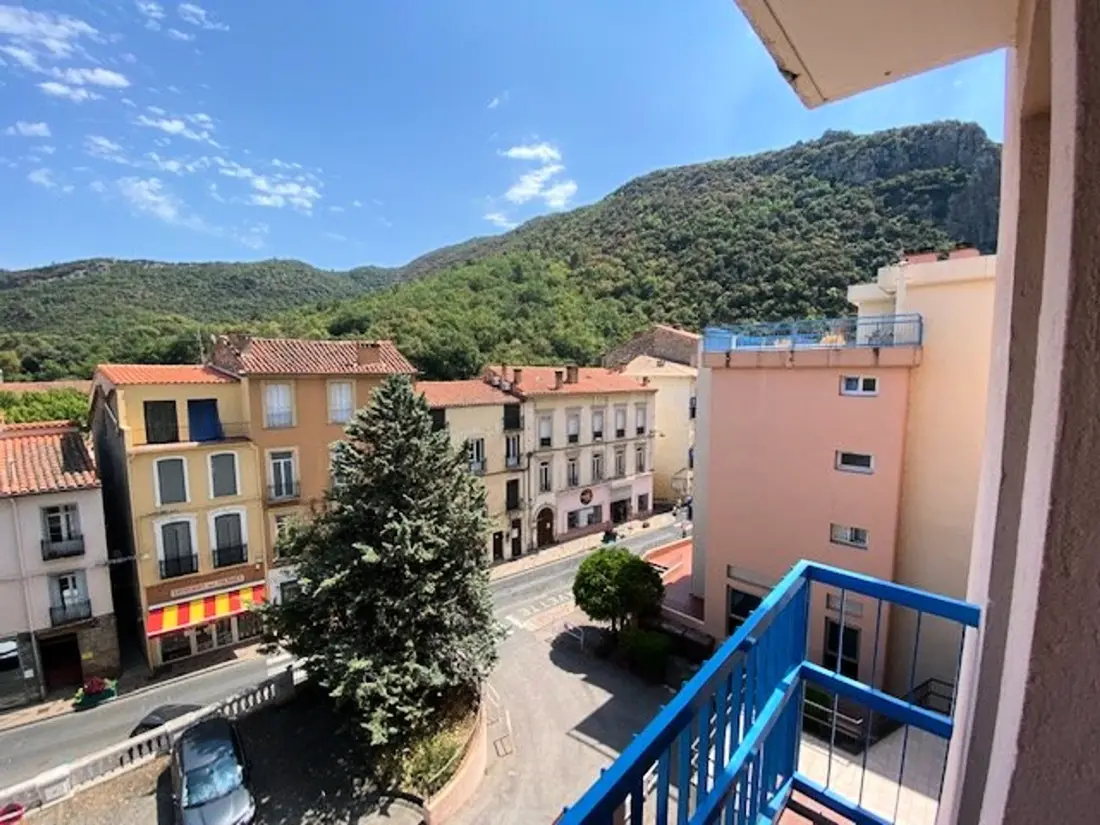 Location de Vacances Amélie-les-Bains-Palalda 158