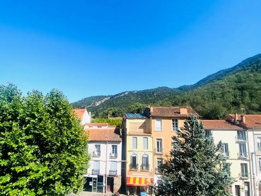 Location de Vacances Amélie-les-Bains-Palalda 158