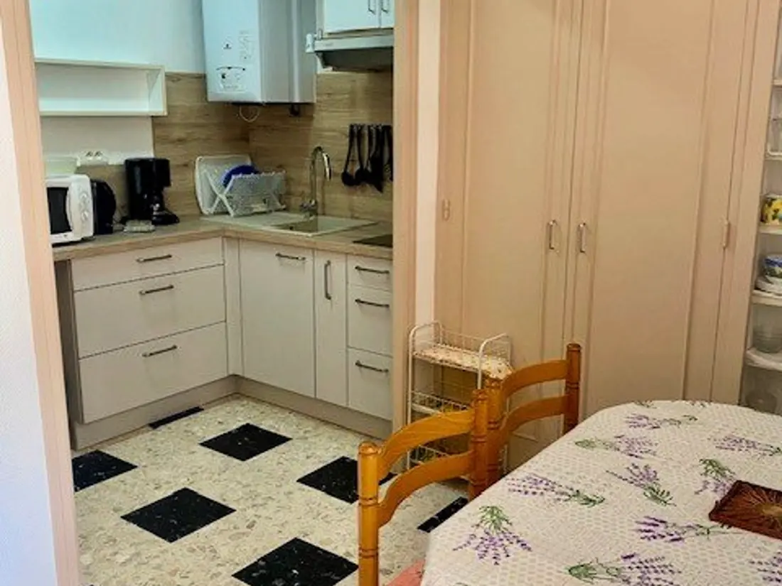 Location de Vacances Amélie-les-Bains-Palalda 163