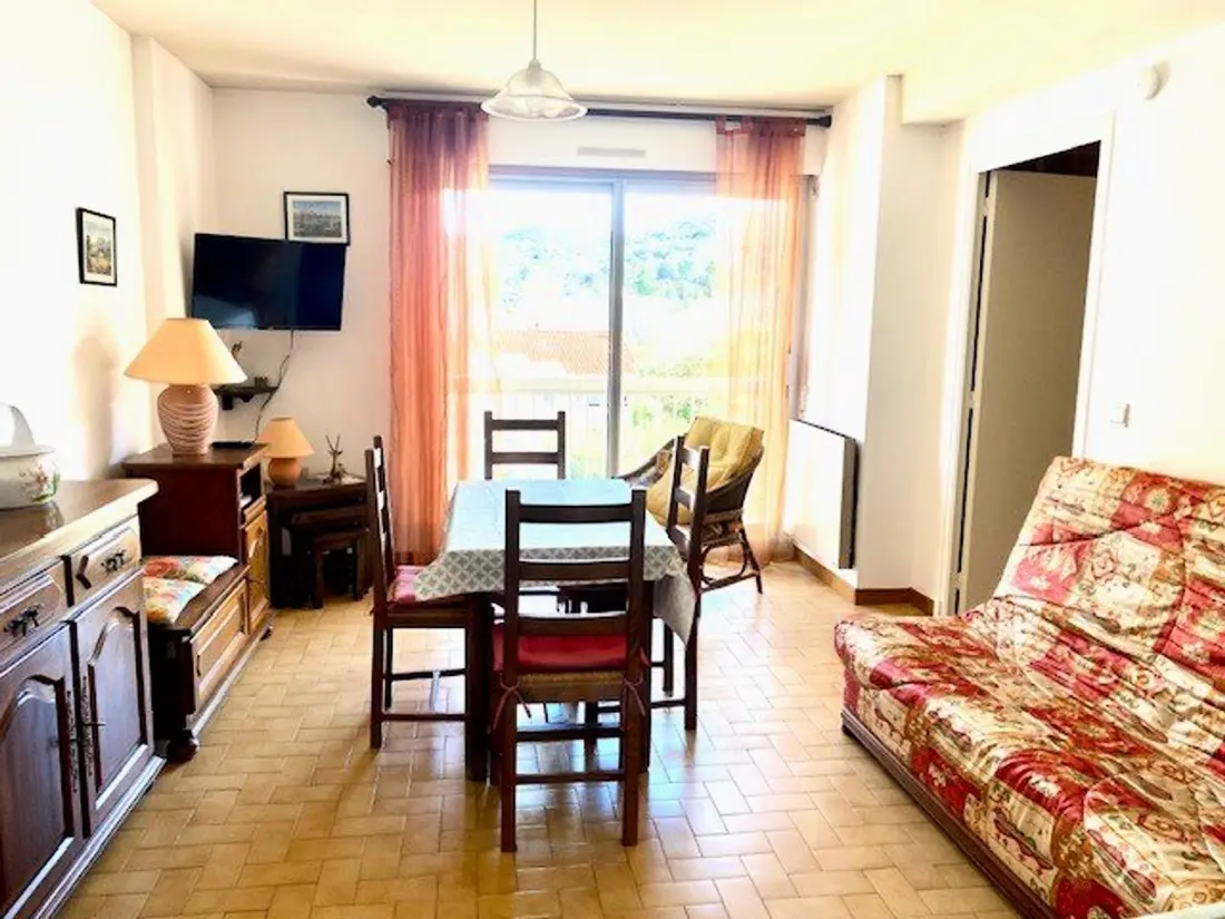Location de Vacances Amélie-les-Bains-Palalda 166
