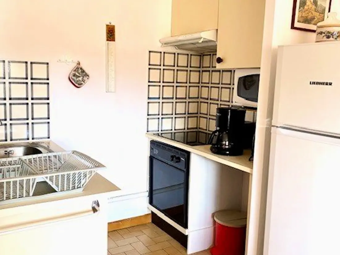 Location de Vacances Amélie-les-Bains-Palalda 166