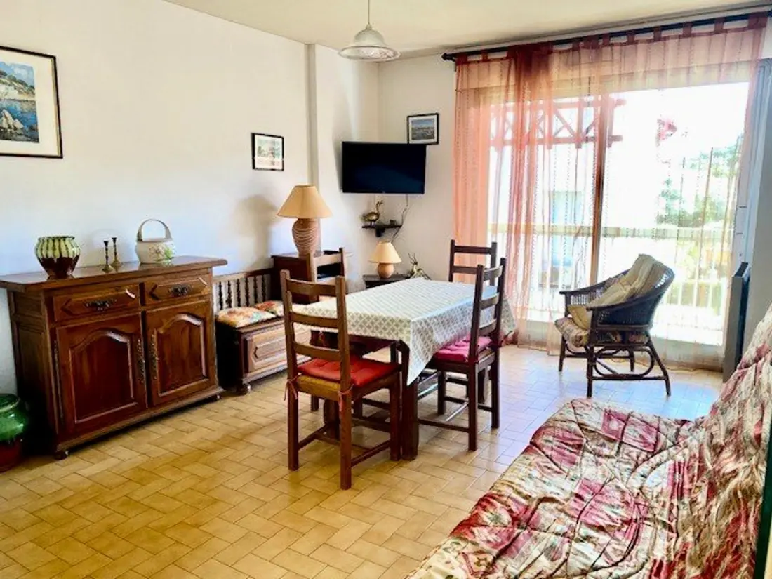 Location de Vacances Amélie-les-Bains-Palalda 166