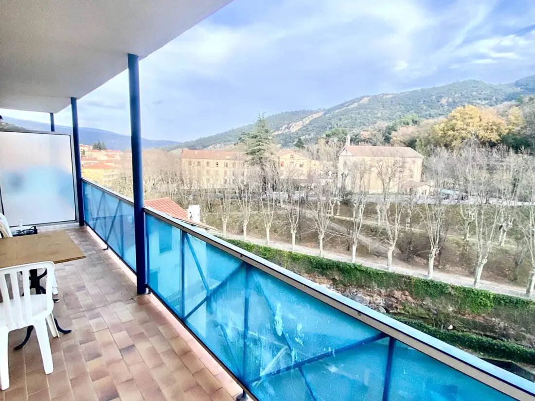 Location de Vacances Amélie-les-Bains-Palalda 168