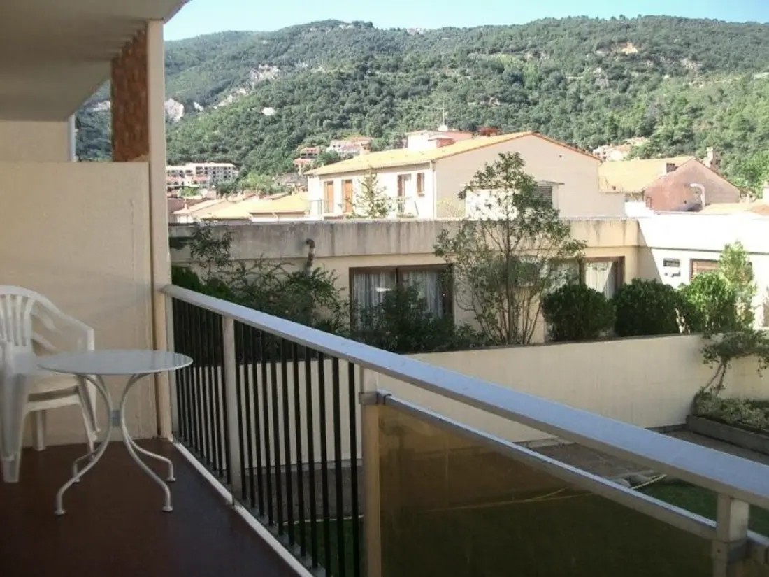 Location de Vacances Amélie-les-Bains-Palalda 174