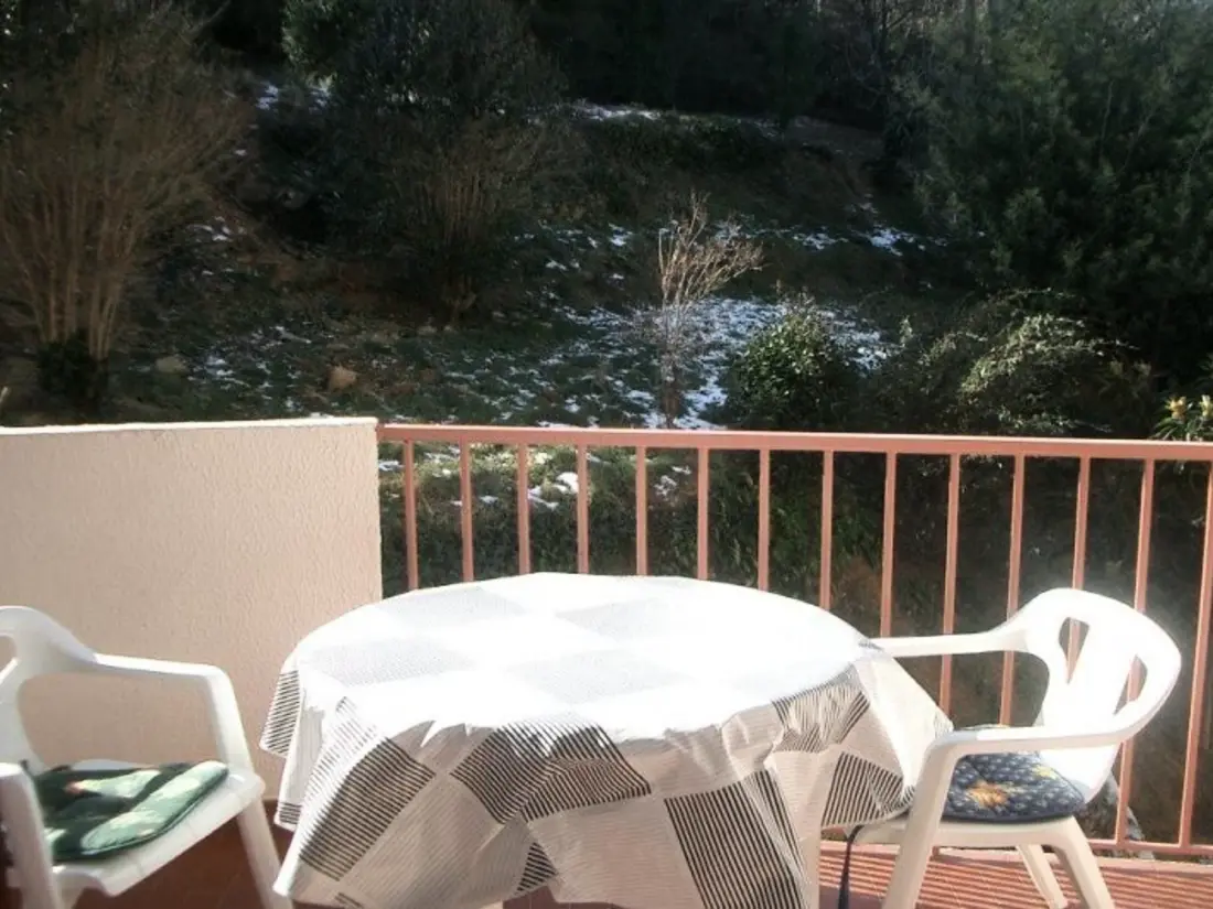 Location de Vacances Amélie-les-Bains-Palalda 175