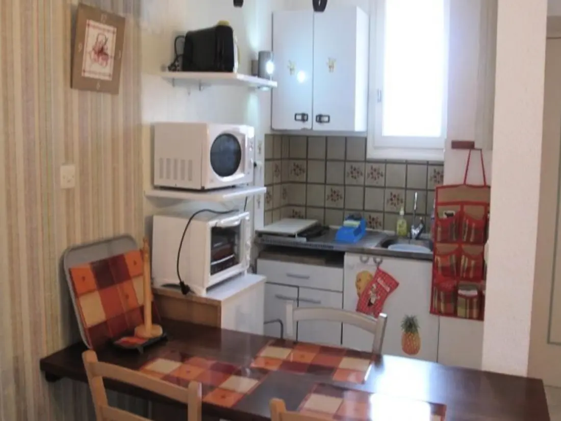 Location de Vacances Amélie-les-Bains-Palalda 175