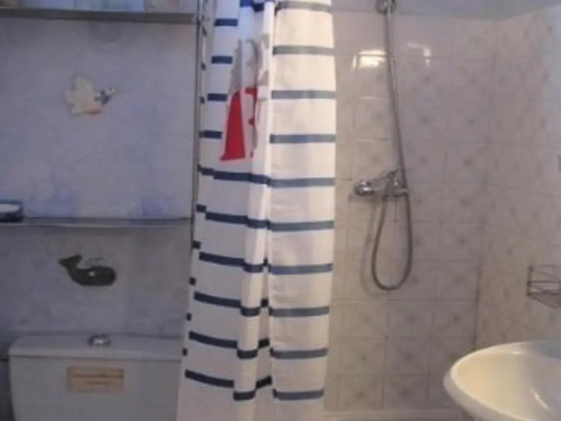 Location de Vacances Amélie-les-Bains-Palalda 175