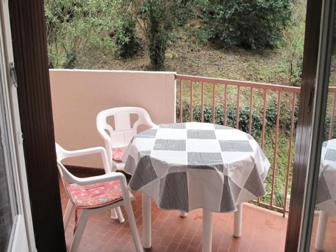Location de Vacances Amélie-les-Bains-Palalda 175