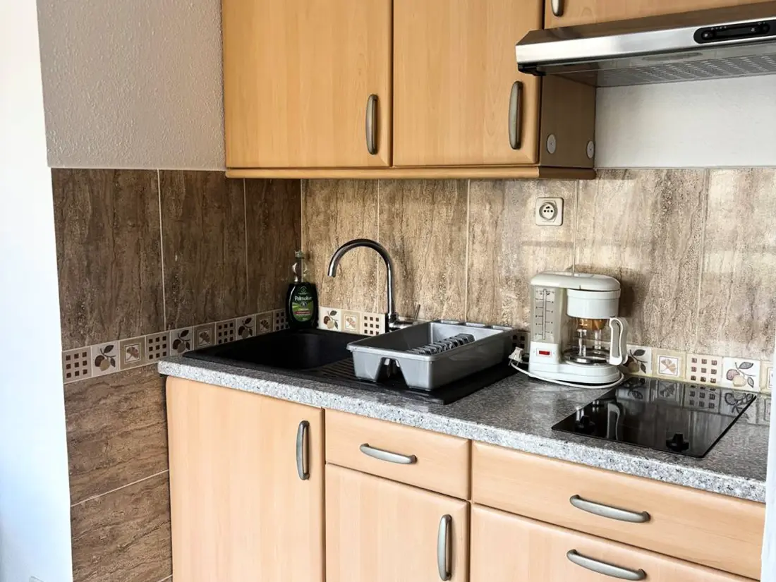 Location de Vacances Amélie-les-Bains-Palalda 177