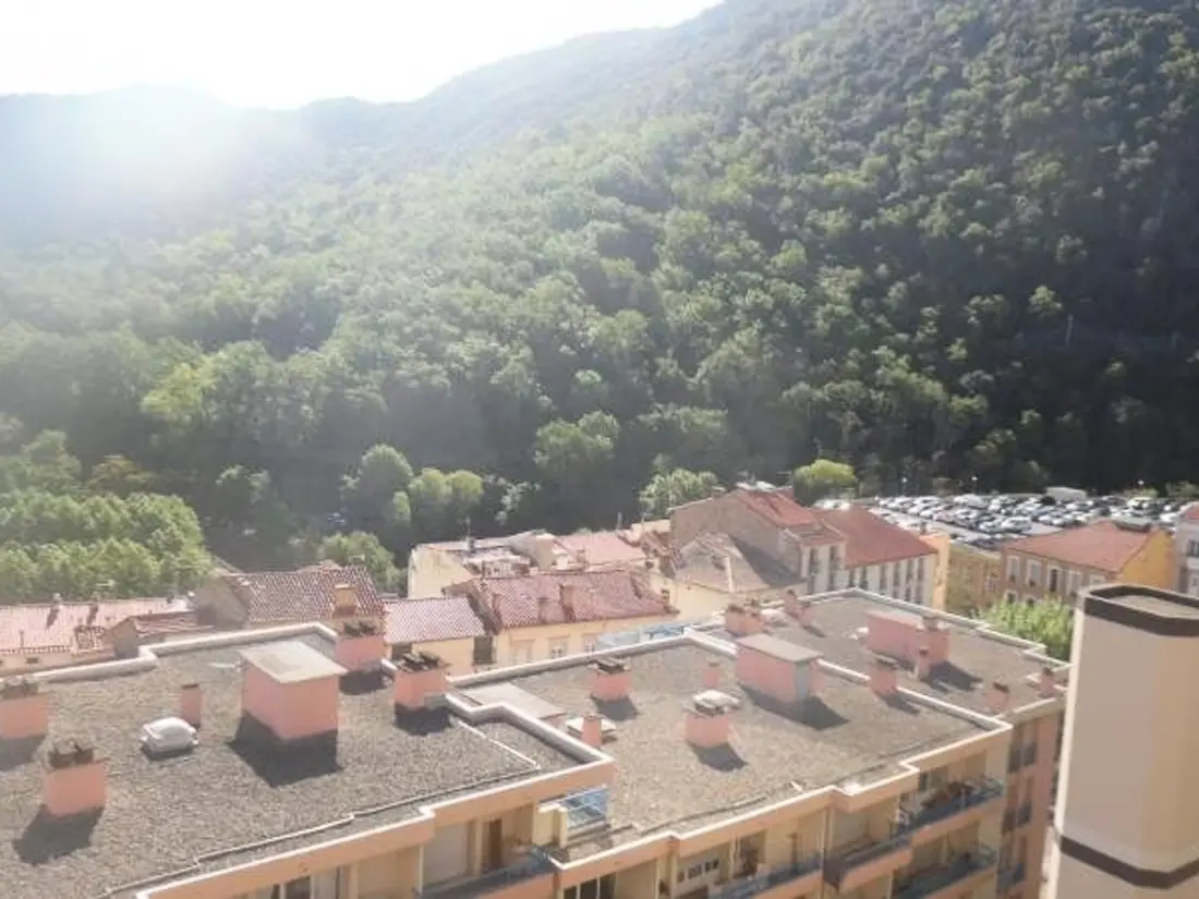 Location de Vacances Amélie-les-Bains-Palalda 181