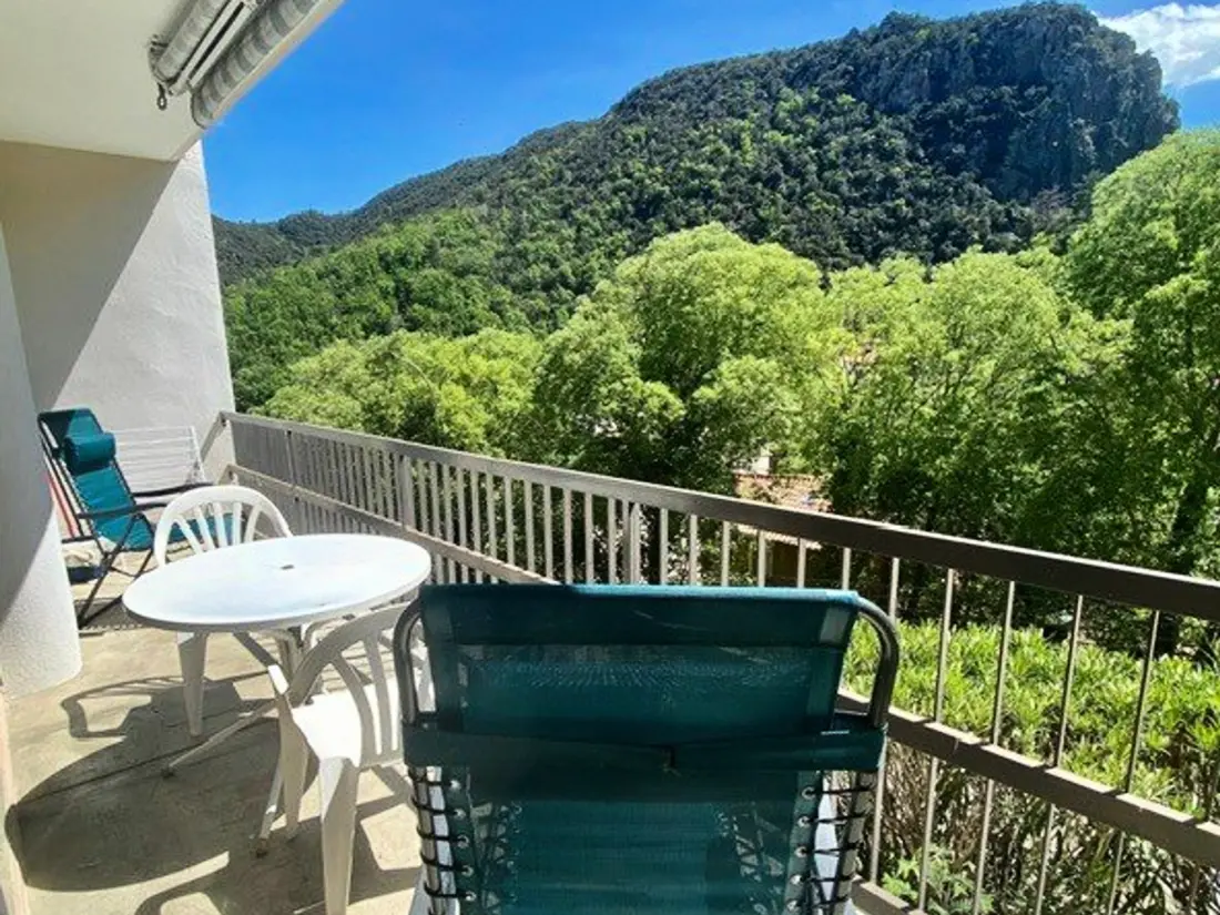 Location de Vacances Amélie-les-Bains-Palalda 183