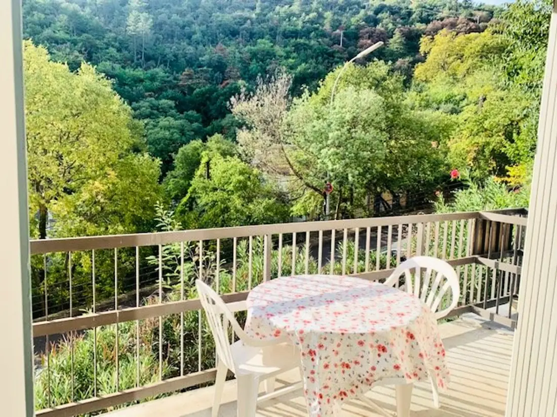 Location de Vacances Amélie-les-Bains-Palalda 183