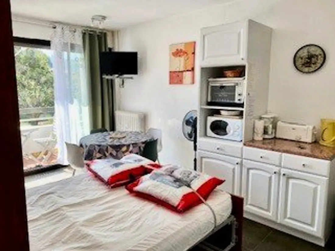 Location de Vacances Amélie-les-Bains-Palalda 184