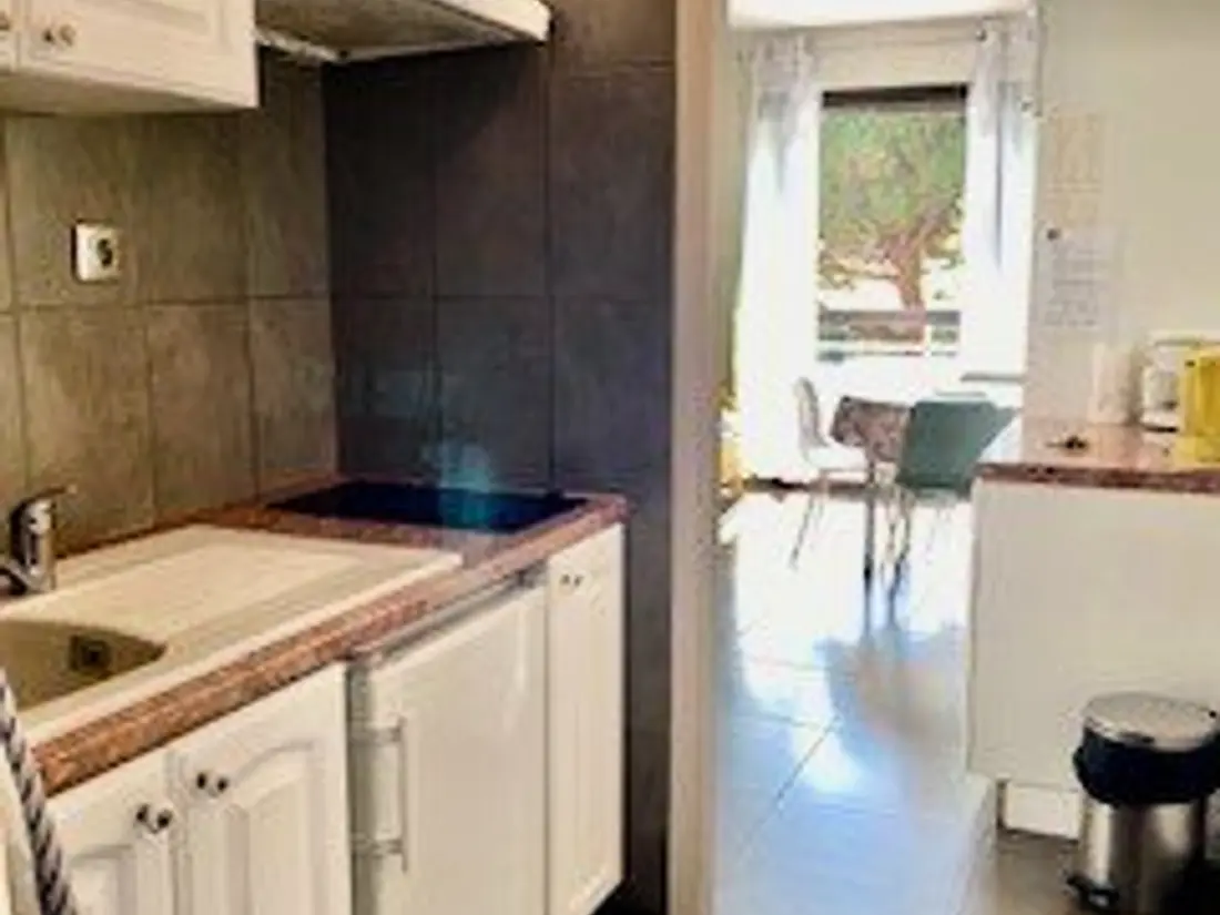 Location de Vacances Amélie-les-Bains-Palalda 184