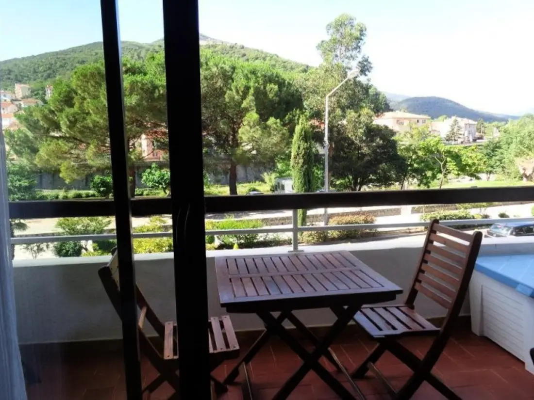 Location de Vacances Amélie-les-Bains-Palalda 184