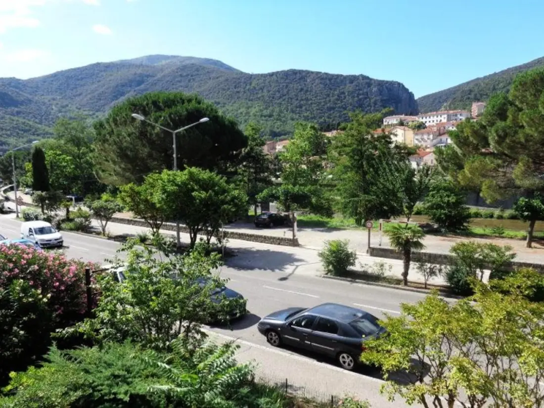 Location de Vacances Amélie-les-Bains-Palalda 184