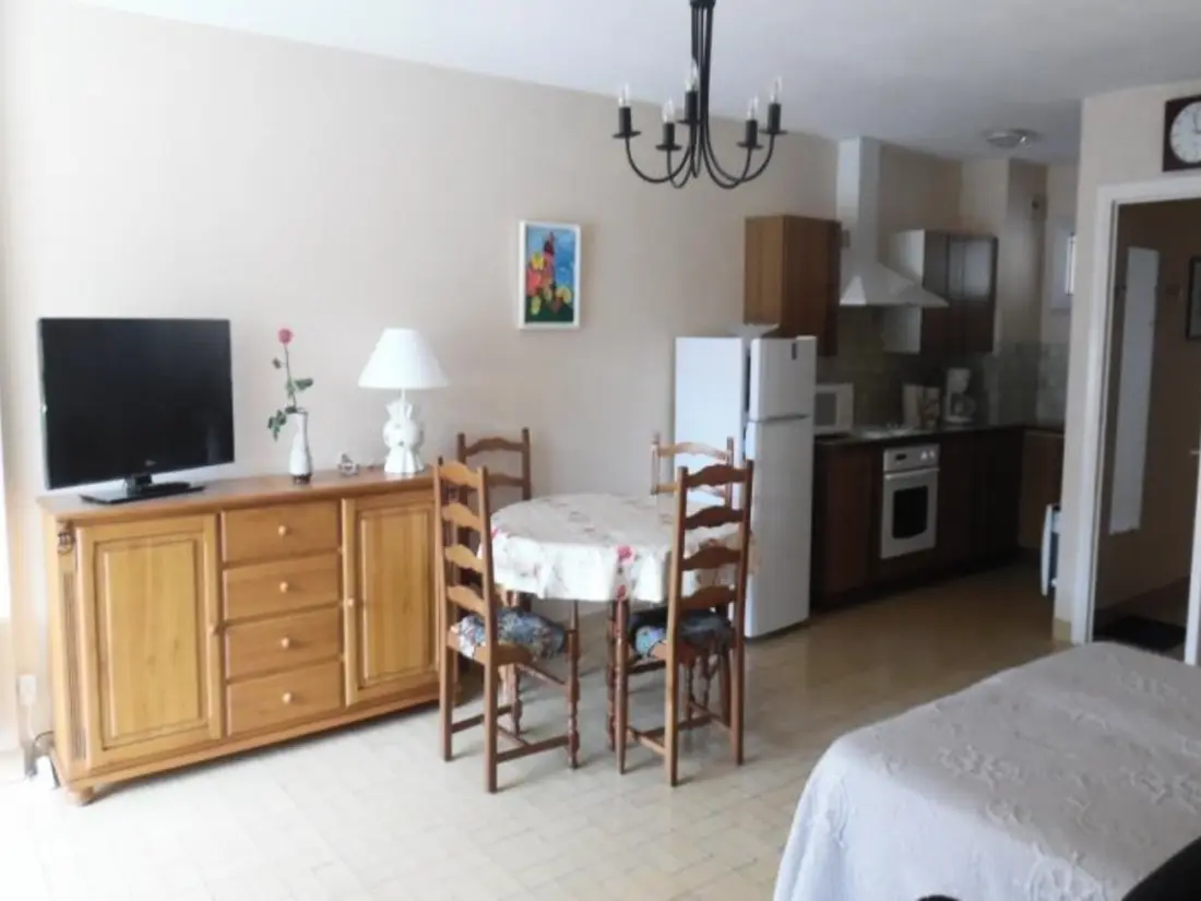 Location de Vacances Amélie-les-Bains-Palalda 185