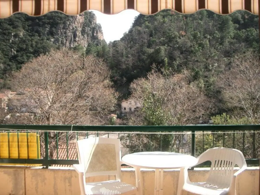 Location de Vacances Amélie-les-Bains-Palalda 188