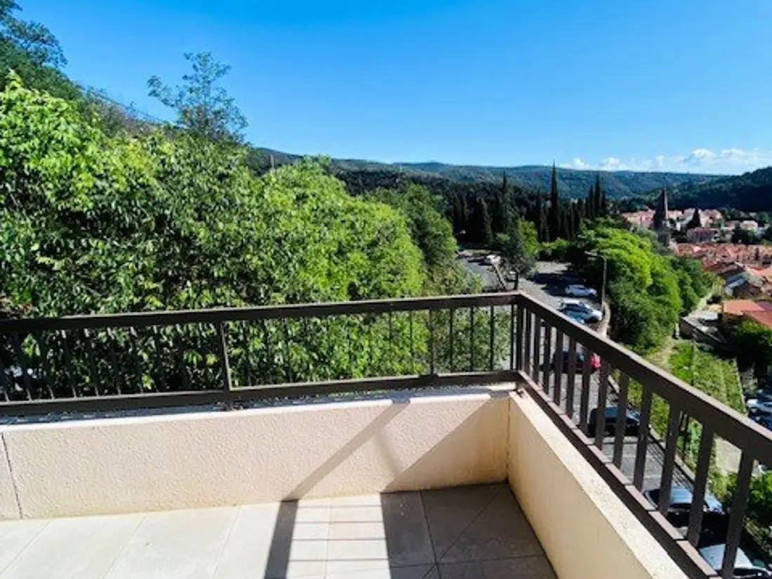 Location de Vacances Amélie-les-Bains-Palalda 193