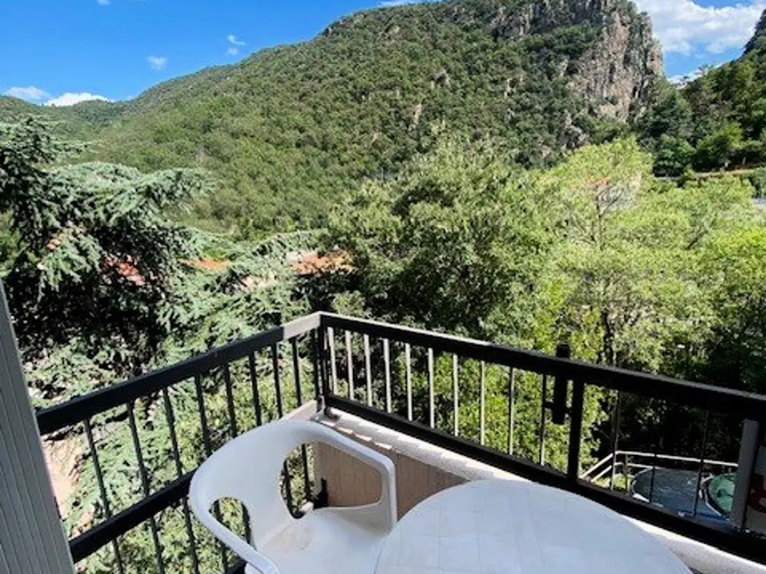 Location de Vacances Amélie-les-Bains-Palalda 194