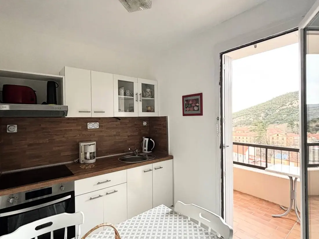 Location de Vacances Amélie-les-Bains-Palalda 194