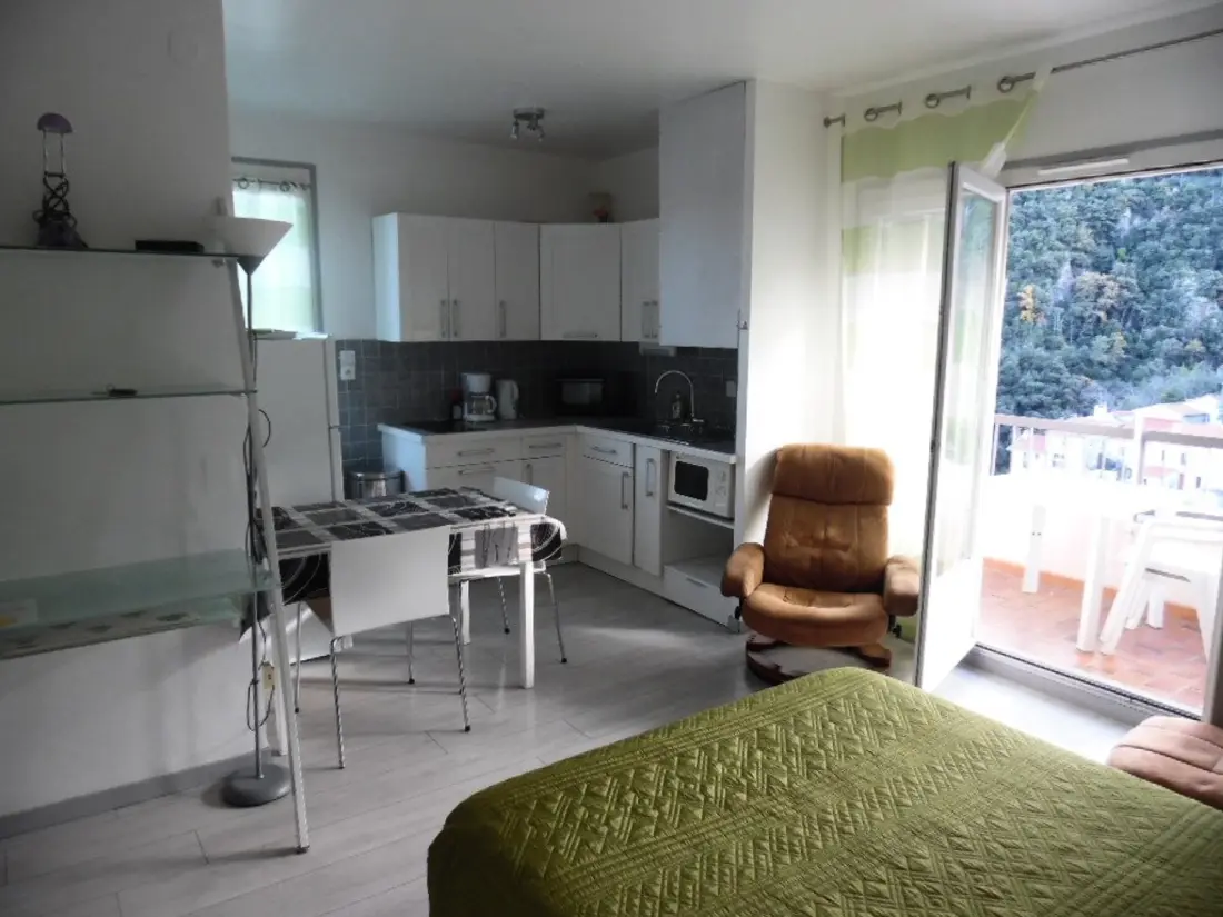 Location de Vacances Amélie-les-Bains-Palalda 196