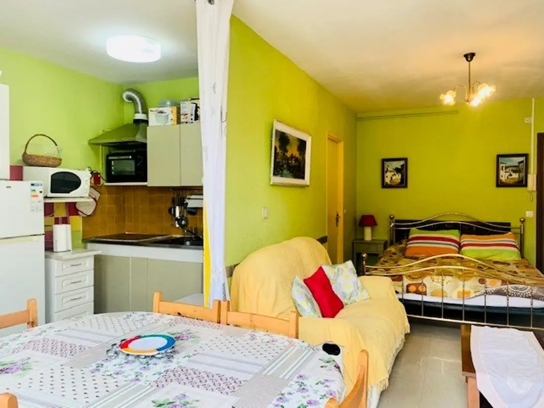 Location de Vacances Amélie-les-Bains-Palalda 203