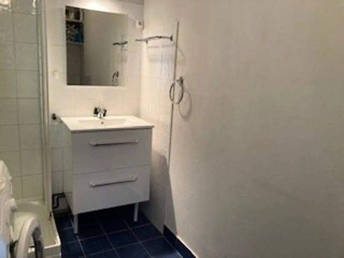 Location de Vacances Amélie-les-Bains-Palalda 208