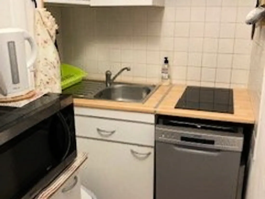 Location de Vacances Amélie-les-Bains-Palalda 208