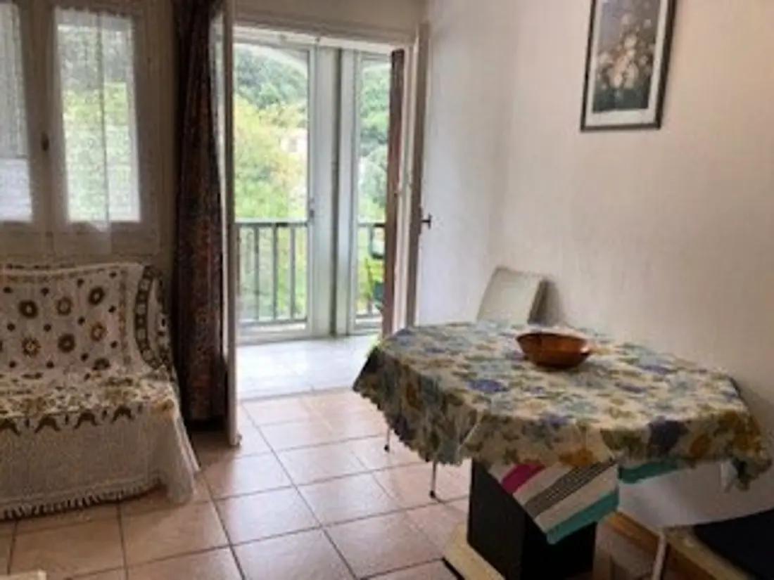 Location de Vacances Amélie-les-Bains-Palalda 208