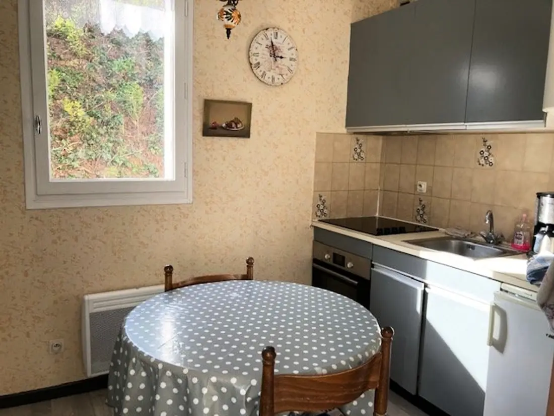 Location de Vacances Amélie-les-Bains-Palalda 211