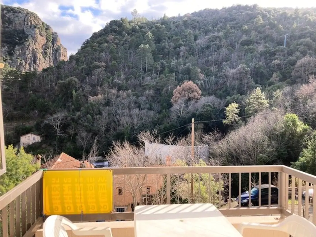 Location de Vacances Amélie-les-Bains-Palalda 211