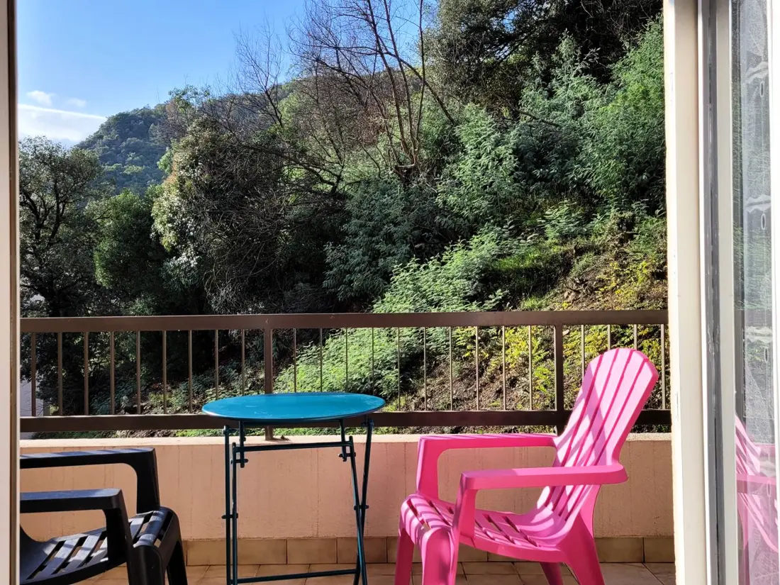 Location de Vacances Amélie-les-Bains-Palalda 229