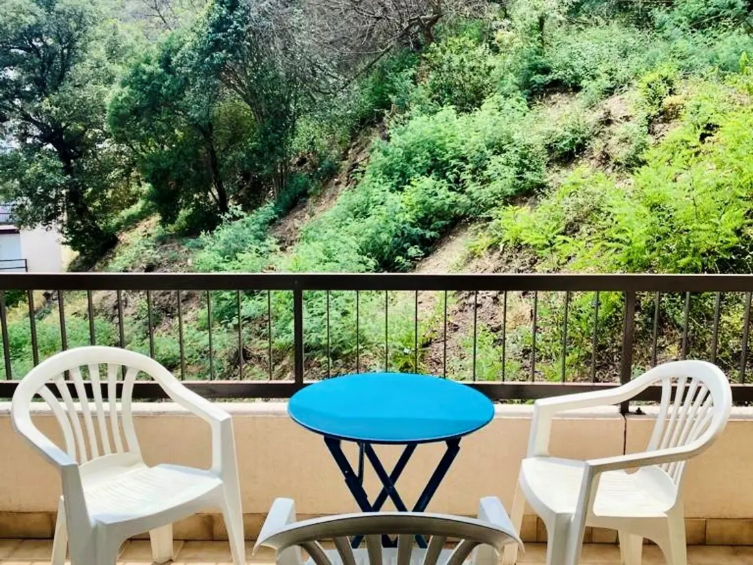 Location de Vacances Amélie-les-Bains-Palalda 229