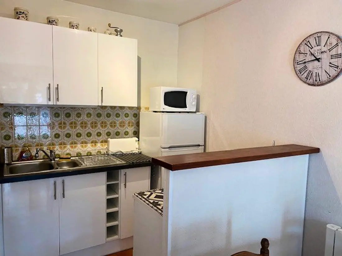 Location de Vacances Amélie-les-Bains-Palalda 253