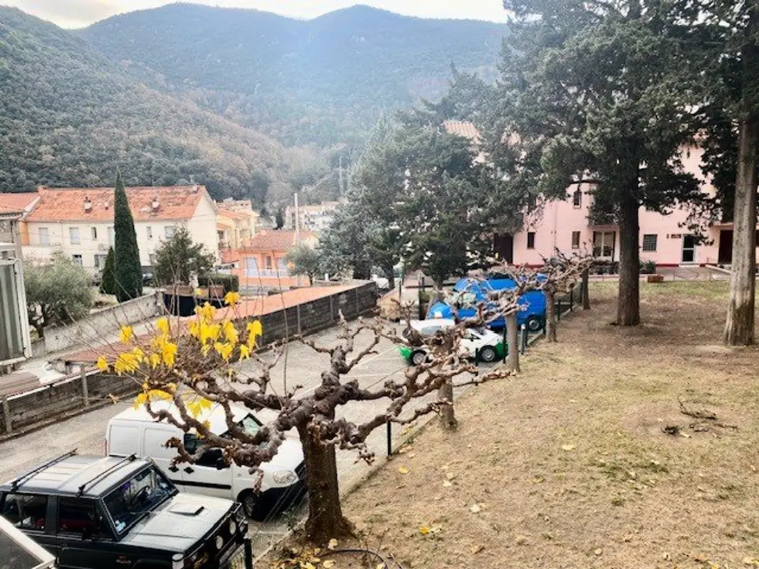 Location de Vacances Amélie-les-Bains-Palalda 253