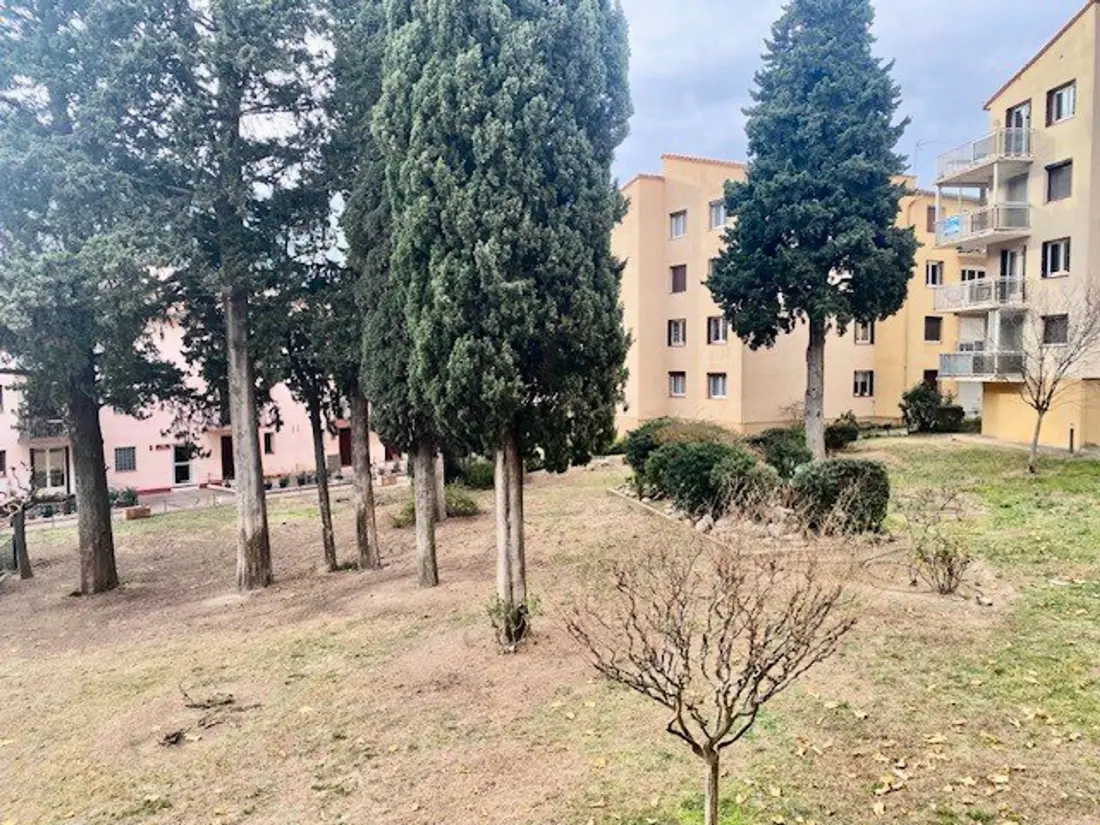 Location de Vacances Amélie-les-Bains-Palalda 253