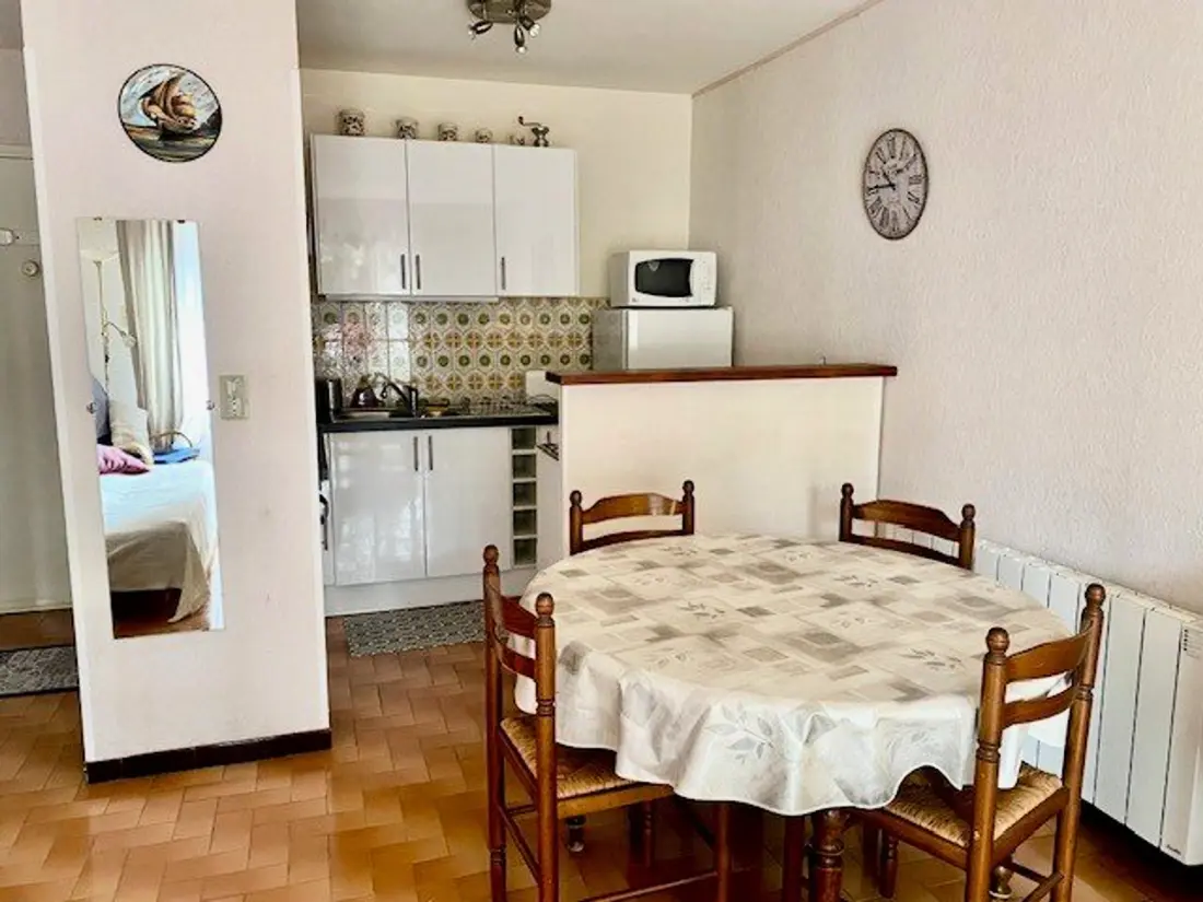 Location de Vacances Amélie-les-Bains-Palalda 253