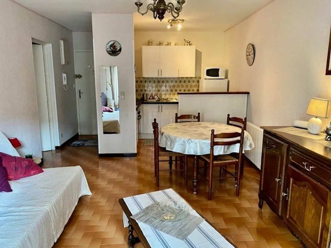 Location de Vacances Amélie-les-Bains-Palalda 253