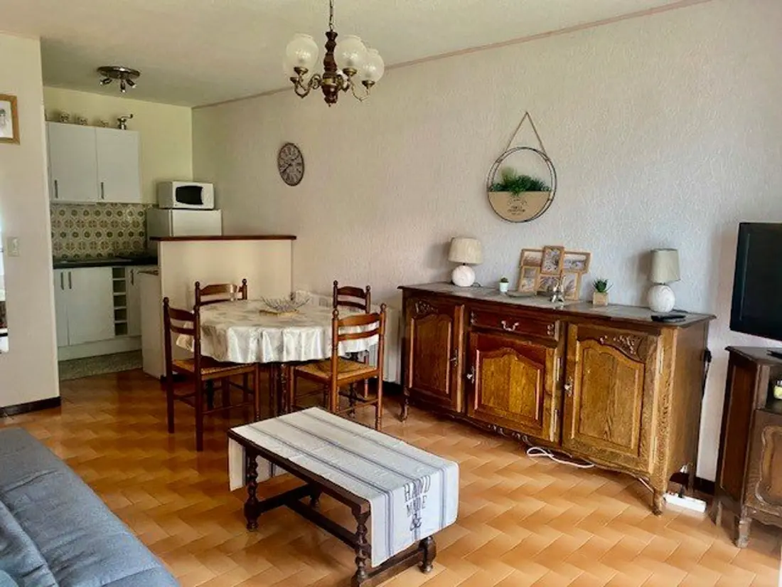 Location de Vacances Amélie-les-Bains-Palalda 253