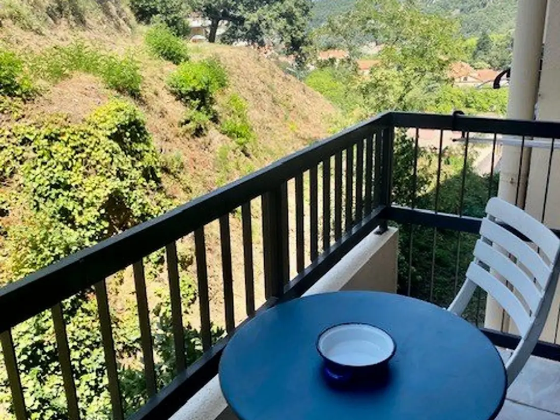 Location de Vacances Amélie-les-Bains-Palalda 267