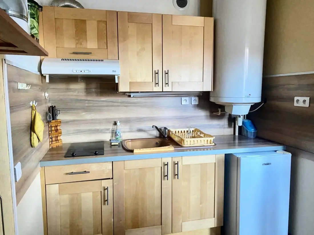 Location de Vacances Amélie-les-Bains-Palalda 270