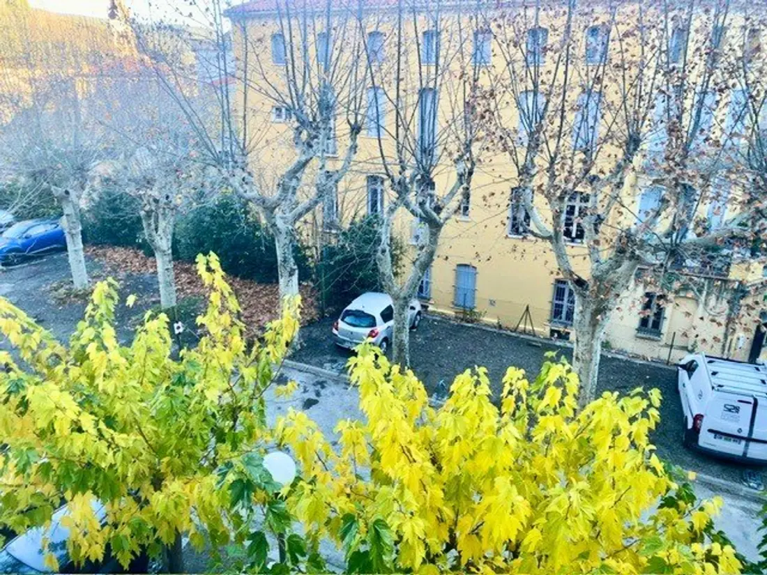 Location de Vacances Amélie-les-Bains-Palalda 270